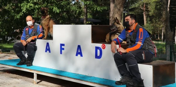 Kahraman Köpekler Sapanca'da Eğitiliyor