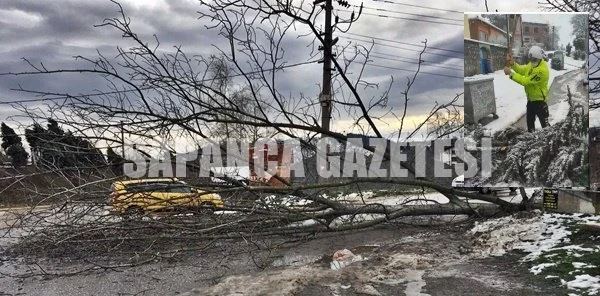 Sapanca'da Şiddetli Rüzgar Etkili Oluyor