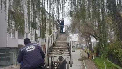 Sapanca'da Mevsimsel Bakım