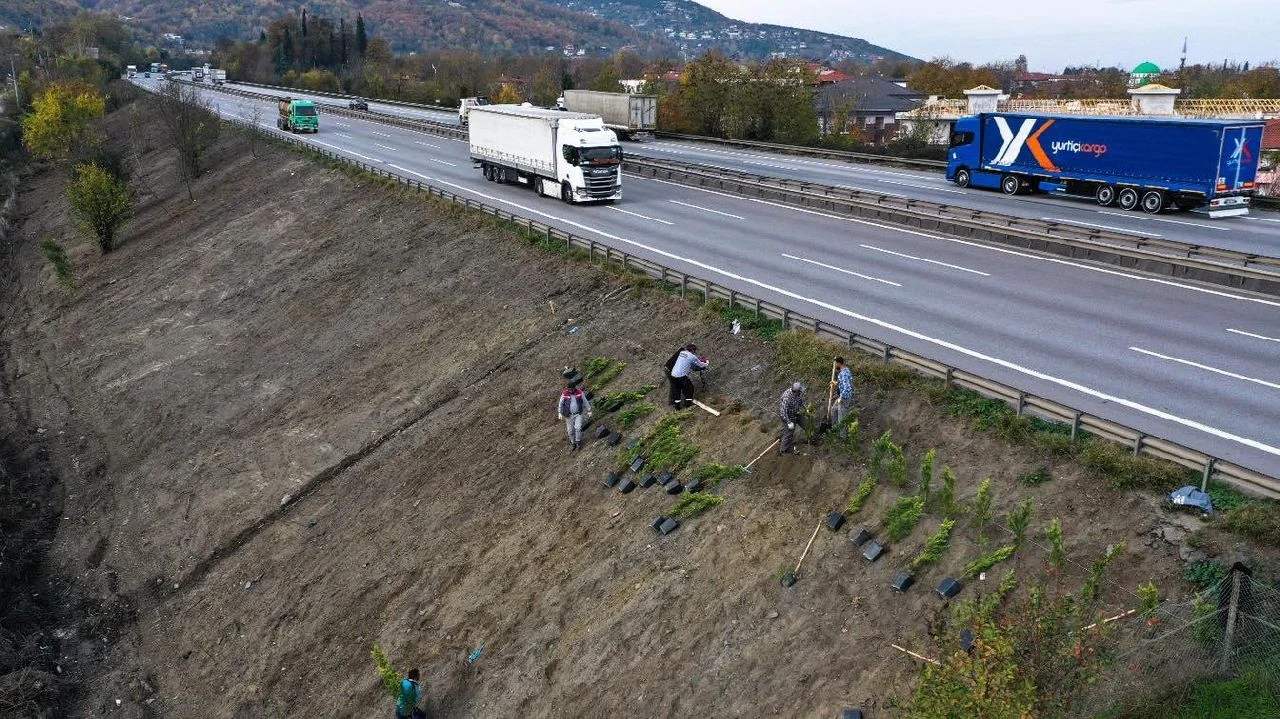 Sapanca'da Ses Perdesi Projesine Başlandı