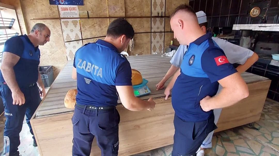 Sapanca Zabıta Ekiplerinden Denetim