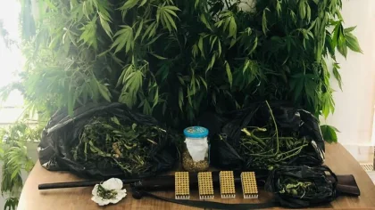 Sapanca Tepebaşı'nda Uyuşturucu Baskını