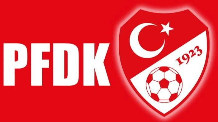 Sapanca Gençlikspor'un Cezası Belli Oldu
