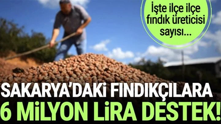 Sapanca'daki Fındık Üreticisi Ne kadar Destek Alacak?