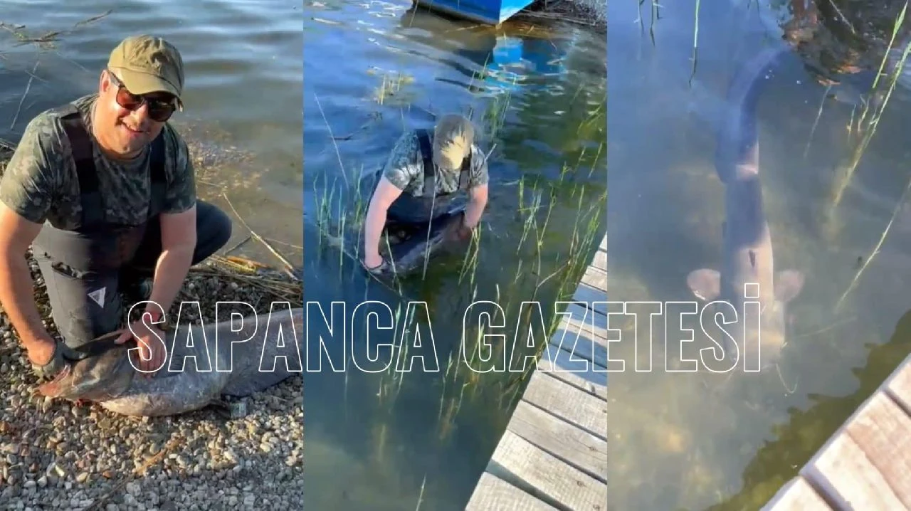 Sapanca'da Yakalanan 24 Kiloluk Yayın Balığı Tekrar Göle Salındı