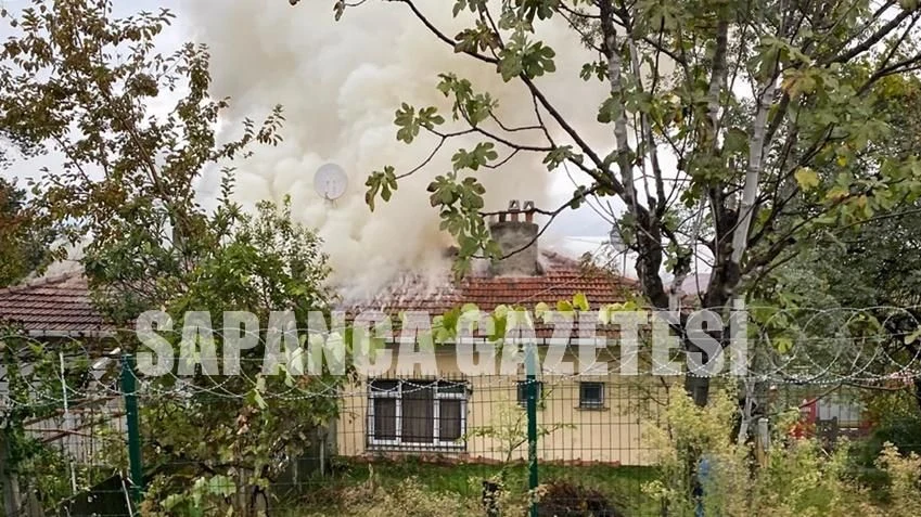 Sapanca'da Korkutan Yangın