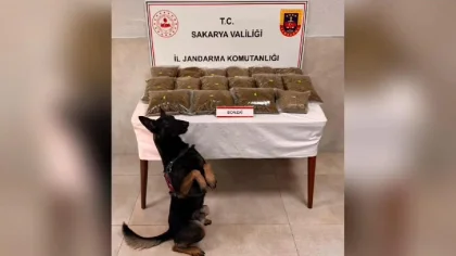 Sapanca'da 20 Kilo Uyuşturucu Madde Ele Geçirdi