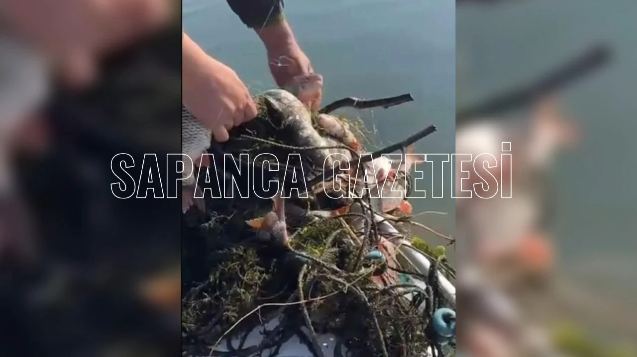 Sapanca Gölü'nde Hayalet Ağ Katliamı!