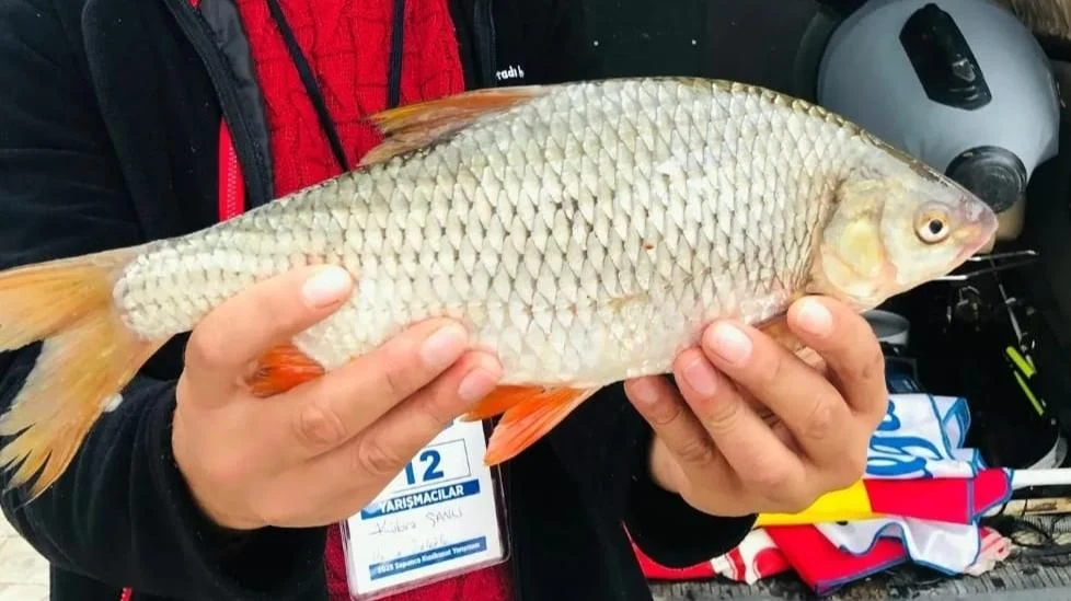 Sapanca Gölünde Kızılkanat Yarışması Düzenlendi