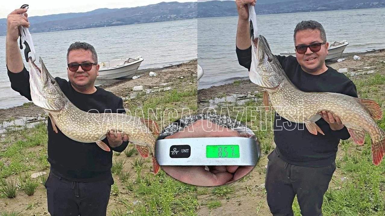 Sapanca Gölü'nde Turna Sezonu Bereketli Başladı!