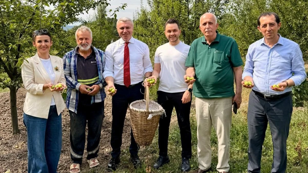 Sapanca Kastarcı Eriği Tescilleniyor