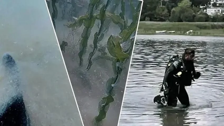Sapanca Gölü'nün Dibinde Pamuksu Oluşum Tespit Edildi