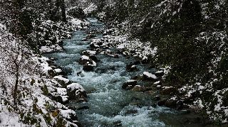 AZ DA OLSA YAĞAN KAR, SAPANCA GÖLÜ'NÜ BESLEYEN DERELERE CAN OLDU