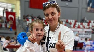 16546 nolu sürmanşet