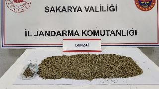 16571 nolu sürmanşet