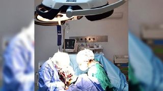 16610 nolu sürmanşet