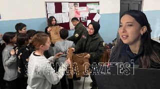 16620 nolu sürmanşet