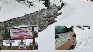 16621 nolu sürmanşet