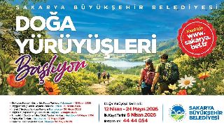 16629 nolu sürmanşet