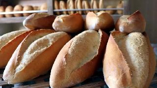 16631 nolu sürmanşet