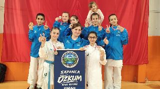 16658 nolu sürmanşet