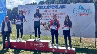 16667 nolu sürmanşet