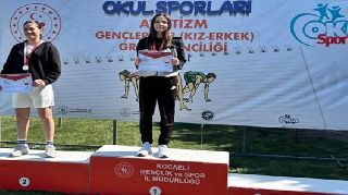 16668 nolu sürmanşet