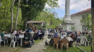 16688 nolu sürmanşet