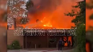 16723 nolu sürmanşet