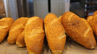 16725 nolu sürmanşet
