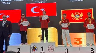 16729 nolu sürmanşet