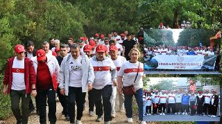 16780 nolu sürmanşet