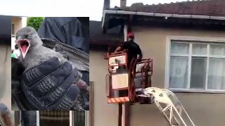 OLUĞA SIKIŞAN KARGAYI İTFAİYE KURTARDI