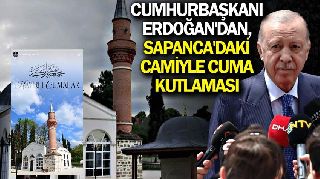 16813 nolu sürmanşet