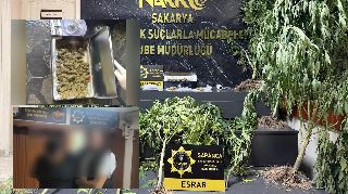 16912 nolu sürmanşet